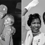What Happened to Rose Swisher? Bill Russell’s Ex-Wife’s Life Story