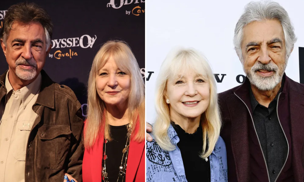 Who Is Arlene Vrhel? Everything to Know About Joe Mantegna’s Wife