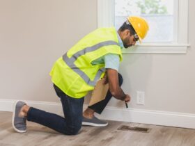 Living With Pests: What You Need to Know Before a Small Problem Gets Expensive