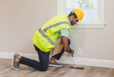 Living With Pests: What You Need to Know Before a Small Problem Gets Expensive