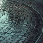 What Your Yard Is Trying to Tell You When Water Won’t Leave