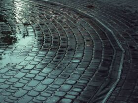 What Your Yard Is Trying to Tell You When Water Won’t Leave