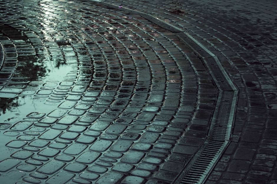 What Your Yard Is Trying to Tell You When Water Won’t Leave