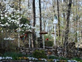 How to Plan a Smarter, More Fun Trip to Pigeon Forge