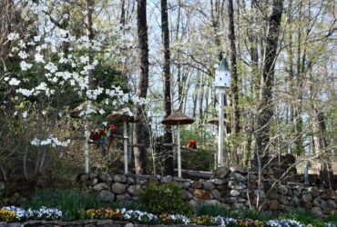 How to Plan a Smarter, More Fun Trip to Pigeon Forge