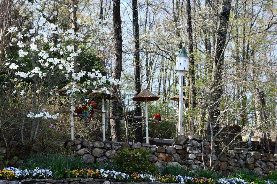 How to Plan a Smarter, More Fun Trip to Pigeon Forge
