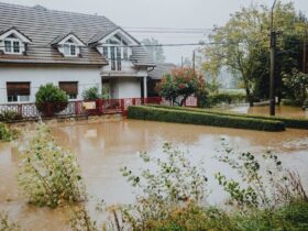 What You Should Actually Do After Your Home Floods
