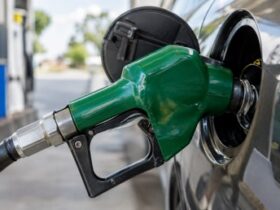 How to Choose the Right New Vehicle for Life in Tampa, Florida